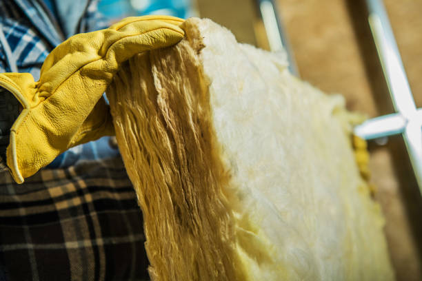 Best Geographic-Specific Insulation Services in Babbitt, MN